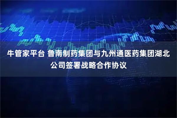 牛管家平台 鲁南制药集团与九州通医药集团湖北公司签署战略合作协议