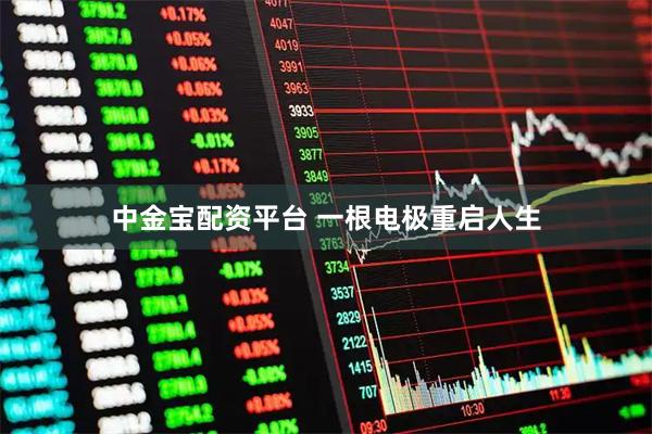 中金宝配资平台 一根电极重启人生