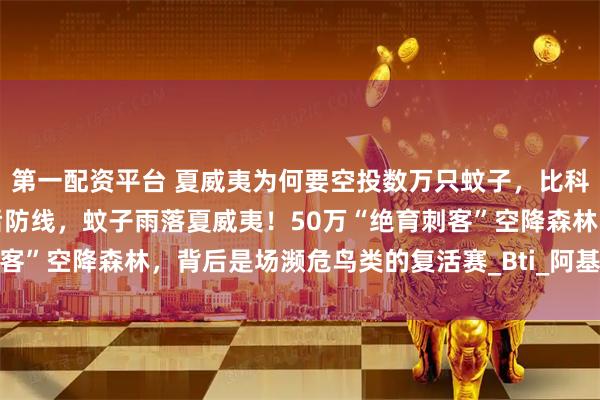 第一配资平台 夏威夷为何要空投数万只蚊子，比科幻更激进！封锁禽疟最后防线，蚊子雨落夏威夷！50万“绝育刺客”空降森林，背后是场濒危鸟类的复活赛_Bti_阿基基基_考艾岛