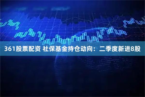 361股票配资 社保基金持仓动向：二季度新进8股